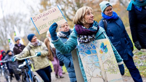 Hannover: Protest gegen Rodung von Bäumen für Südschnellweg
