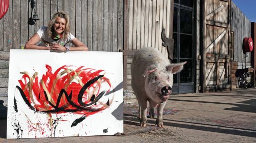 Saustarke Kunst: Schweinedame Pigcasso bekommt Ausstellung