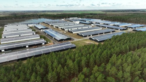Pläne für große Cannabis-Farm in NVA-Hallen bei Anklam gestoppt