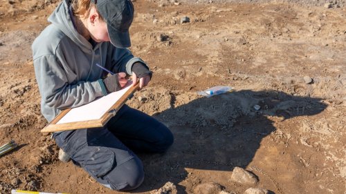 Mit Metalldetektor auf Schatzsuche: Archäologe mahnt zur Vorsicht