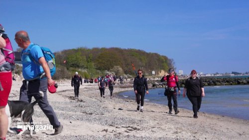 50 Kilometer in 12 Stunden - Der Megamarsch Ostsee 2025