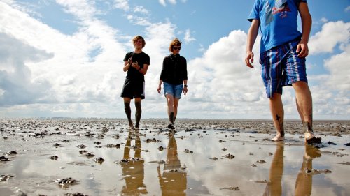 Wattwanderung in SH: Diese Regeln sollten im Watt beachtet werden