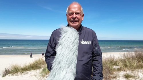 So wird das Wetter in Mecklenburg-Vorpommern am Dienstag