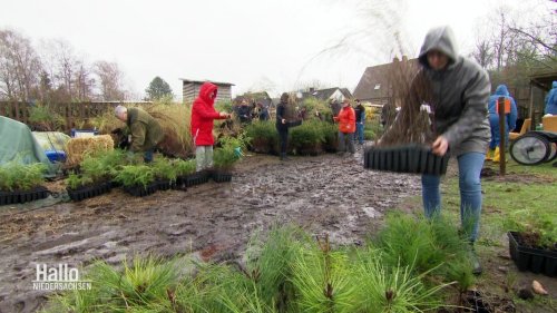 Klimaschützer verschenken Bäume für den Garten