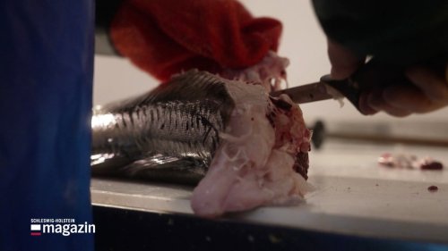 Stockfisch, Dorsch und Lebenskünstler in Nordnorwegen
