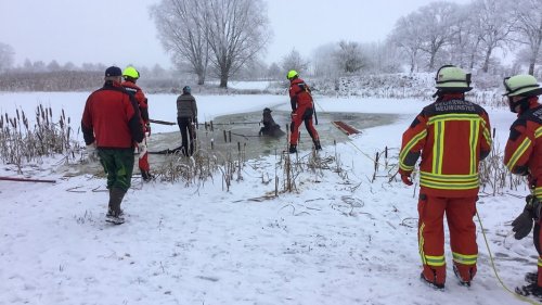 Rettungsaktion in Neumünster - Pferde brechen in Teich ein