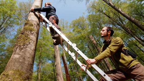 Die Nordreportage: Ganz schön wild