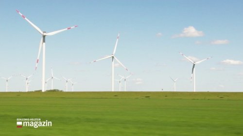 Gedämpfte Stimmung beim Windbranchentag 2025 in Husum