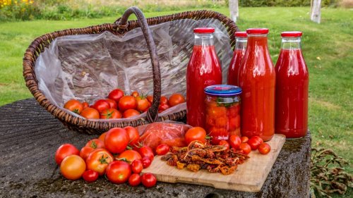 Tomaten nach der Ernte haltbar machen