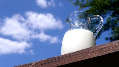 Synapsen: Milch: ungesund - umweltschädlich - unvermeidbar?
