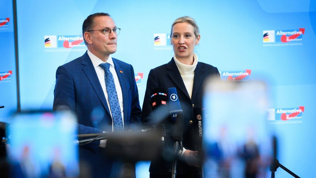 AfD gesichert rechtsextremistisch: Politiker im Norden für Verbot