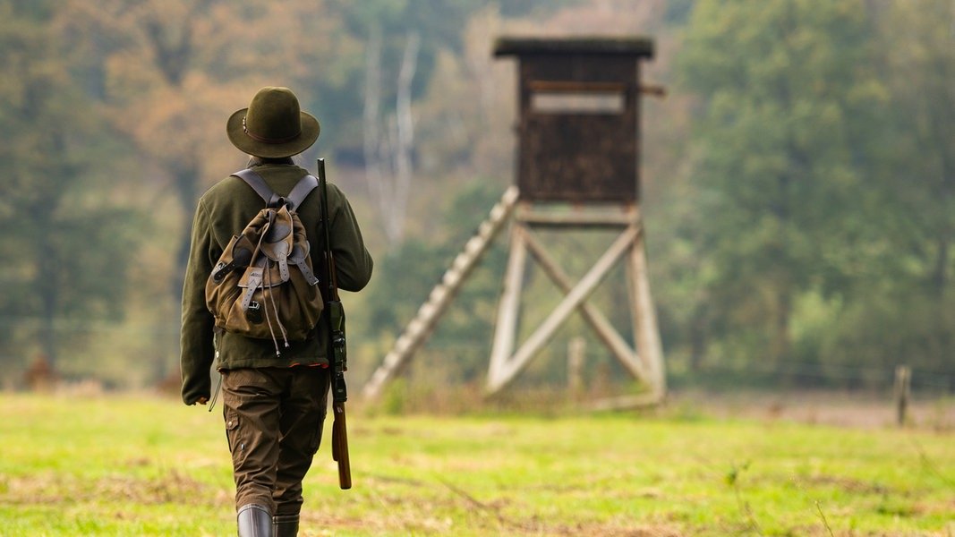 Ansturm auf Jagdschein: So läuft die Ausbildung