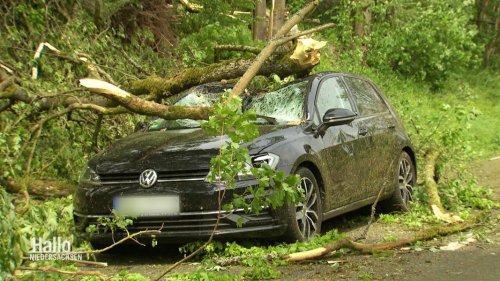 Sturmschäden: Tornado fegte von Merxhausen nach Mackensen