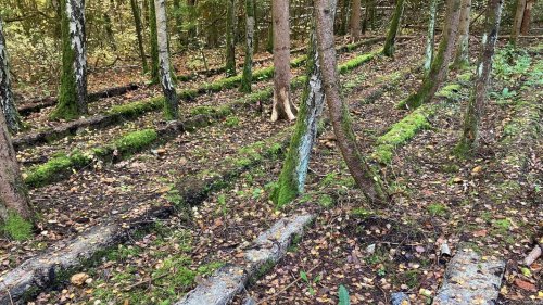 KZ Ellrich-Juliushütte: Erstmals vollständiger Lagerplan erarbeitet