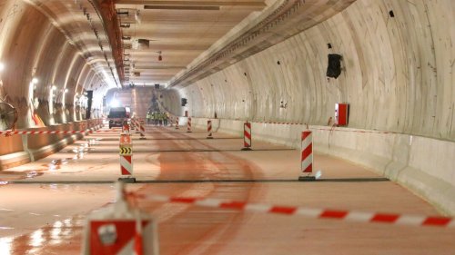 Swinetunnel - Fluch oder Segen?