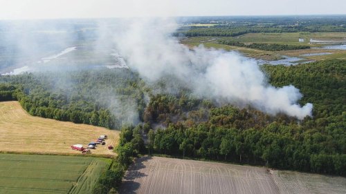 Moorbrand im Naturschutzgebiet: Feuerwehr kontrolliert Glutnester