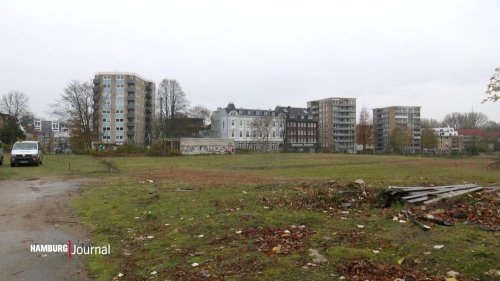 Altona: Mehr Platz für Hamburgs Schülerinnen und Schüler