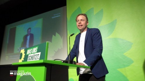 Grünen-Parteitag: Andresen soll Europawahl-Kandidat werden