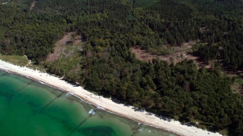 Rostocker Heide laut Forstbericht in stabilem Zustand