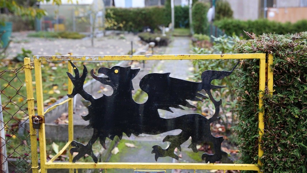 100 Jahre Gartenverband Rostock: Zwischen Beeten und Bauvorhaben