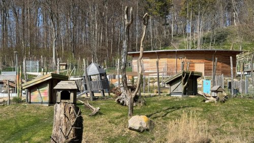 Nach fast neun Jahren Bauzeit: Rügens einziger Tierpark öffnet wieder