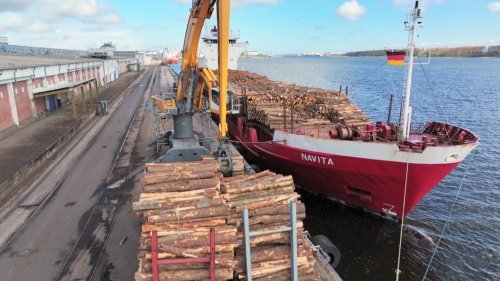 Fischereihafen Rostock zieht erfolgreiche Jahresbilanz