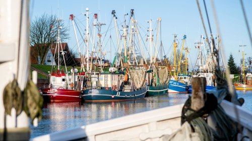 Hohe Treibstoffkosten: Fischer können auf Entlastung hoffen