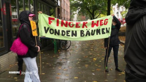 Neubau der Sternbrücke: Protest gegen Baumfällungen