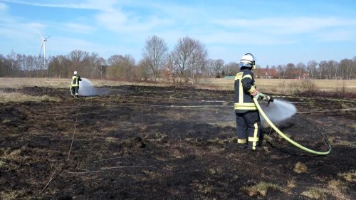 Trockenes Moor gerät in Brand: 1.000 Quadratmeter Fläche zerstört