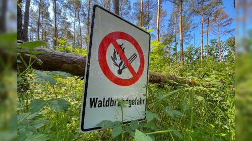Niedersachsen: Gefahr für Waldbrände sinkt zunächst