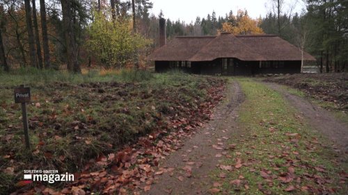 Sachsenwald muss per Gesetz eingemeindet werden