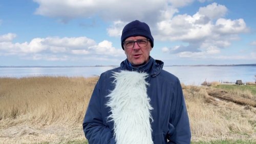So wird das Wetter in Mecklenburg-Vorpommern am Sonntag