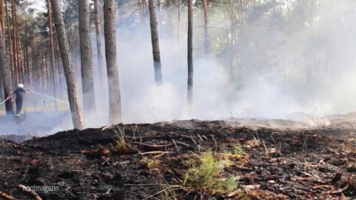 Extreme Waldbrandgefahr in MV - neue Technik soll helfen