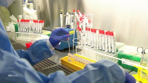 Labore in Niedersachsen arbeiten wegen PCR-Tests am Limit