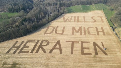 Die Bilder des Tages aus Niedersachsen