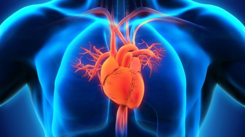 Herzinfarkt: Bei Symptomen ist schnelles Handeln lebenswichtig
