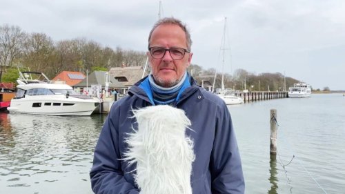 So wird das Wetter in Mecklenburg-Vorpommern am Dienstag