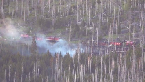 Waldbrand am Brocken: Feuer unter Kontrolle