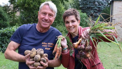 Wir gärtnern! Der "Alles Möhre"-Gartenblog zum Podcast