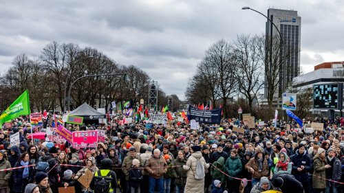 Zehntausende bei Großdemo gegen Rechtsextremismus in Hamburg