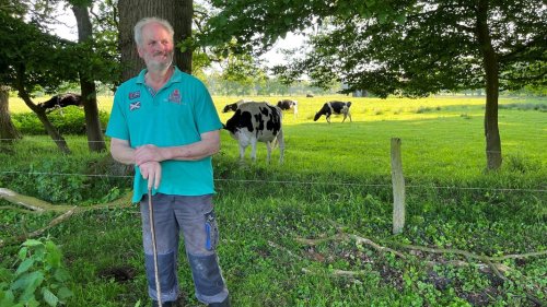 "Situation ist dramatisch": Milchbauern bangen um ihre Existenz