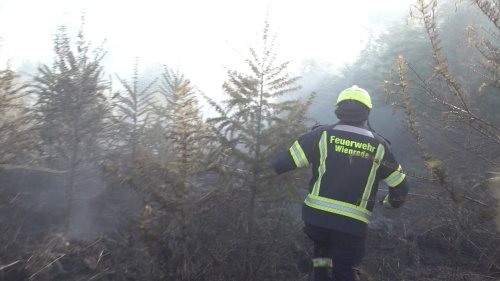 Brandstiftung? Erneut Waldbrände im Landkreis Lüneburg