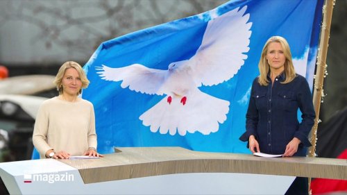 Schleswig-Holstein Magazin | 19.04.2025