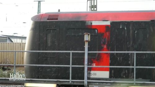 Vandalismus: Fußballfans besprühen S-Bahn in HSV-Farben