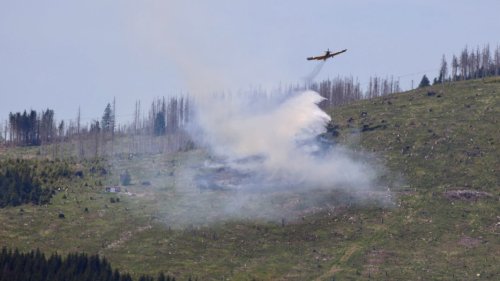 Waldbrand im Harz: B27 bei Braunlage gesperrt