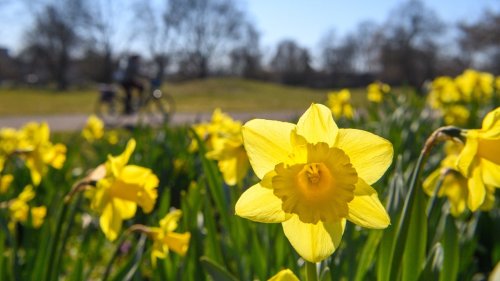 Mehr als 20 Grad: Frühlingswetter in Niedersachsen