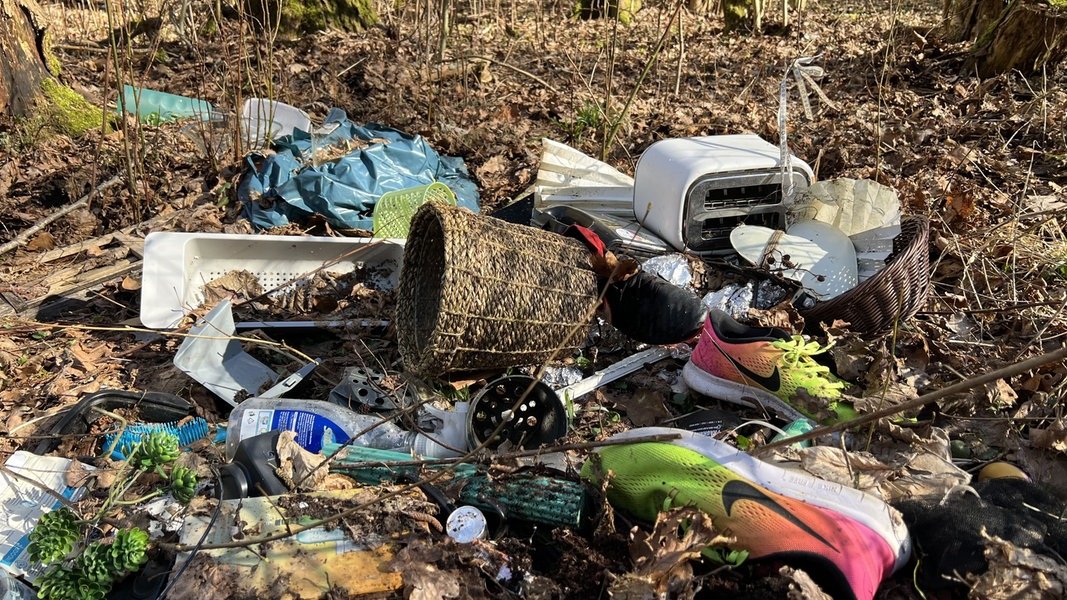 Immer mehr Müll landet in Mecklenburg-Vorpommerns Wäldern