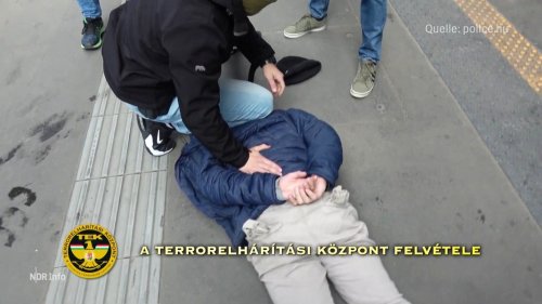 Festnahme in Budapest: Ungarn liefert deutschen Neonazi aus