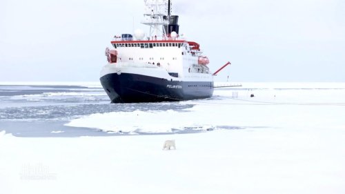 Forschungsschiff "Polarstern" mit neuen Erkenntnissen zur Arktis
