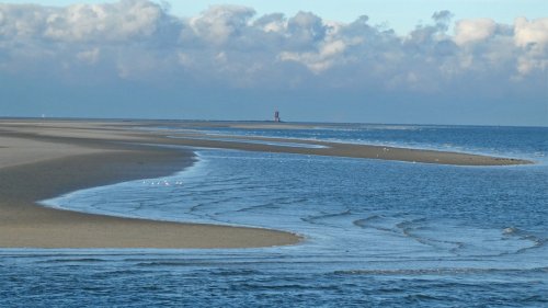 Minsener Oog: Erneut Wal auf Insel angespült